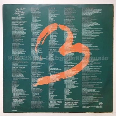 Daryl Hall - Three Hearts In The Happy Ending Machine • 12" Vinyl LP • EX - Labyrinth Music