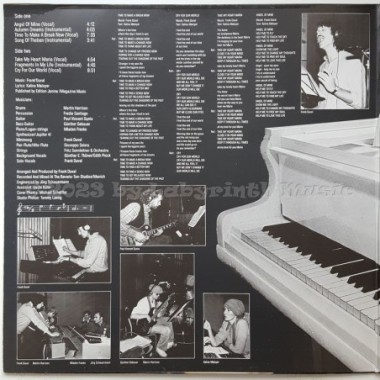 Frank Duval & Orchestra - Angel Of Mine • 12" Vinyl LP • EX - Labyrinth Music