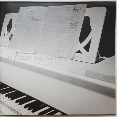 Frank Duval & Orchestra - Angel Of Mine • 12" Vinyl LP • EX - Labyrinth Music