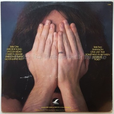 Henry Gross - Release • 12" Vinyl LP - Labyrinth Music