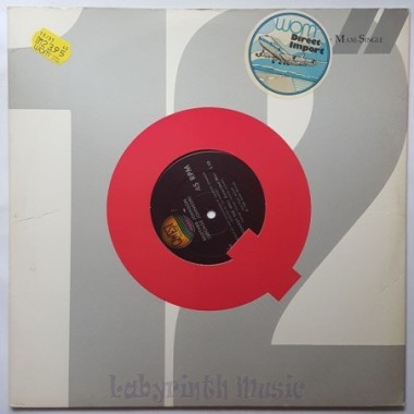 Brother Johnson - Back Against The Wall • 12" Vinyl Maxi - Labyrinth Music