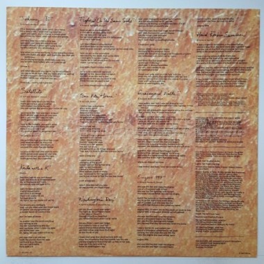 Hooters - One Way Home • 12" Vinyl LP • MINT - Labyrinth Music