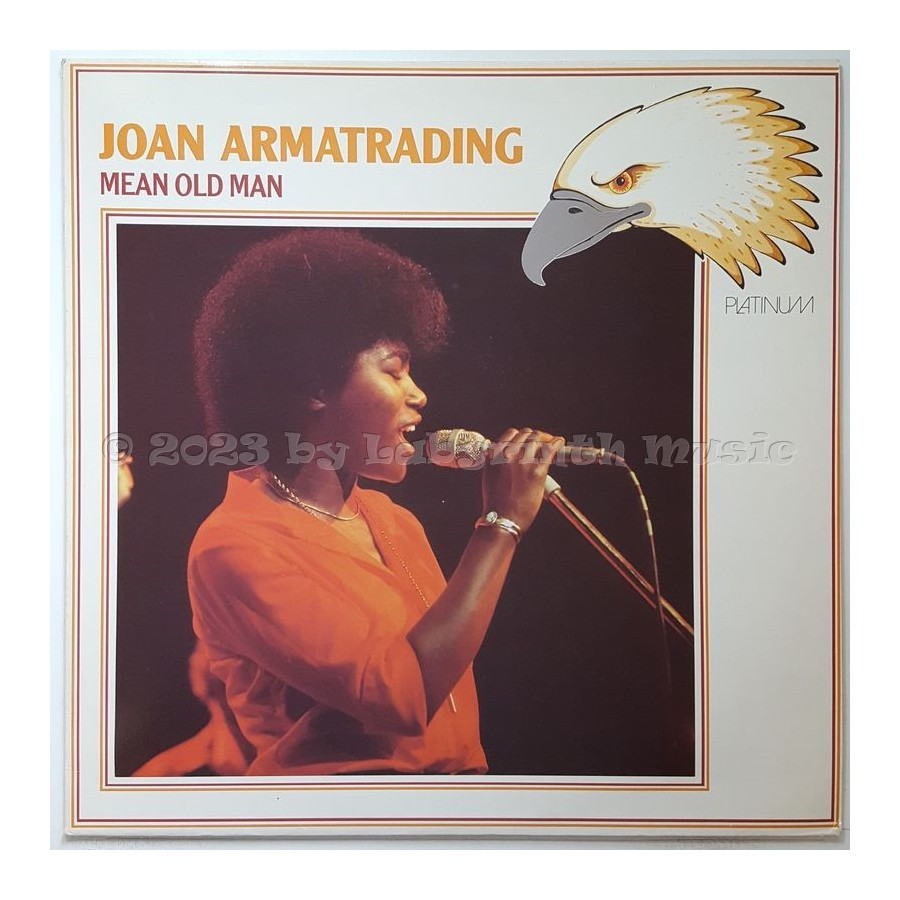 Joan Armatrading - Mean Old Man • 12" Vinyl LP • NM - Labyrinth Music