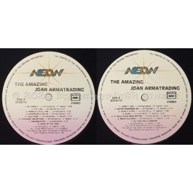 Joan Armatrading - Mean Old Man • 12" Vinyl LP • NM - Labyrinth Music