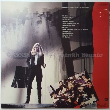 Kim Carnes - Mistaken Identity • 12" Vinyl LP • EX - Labyrinth Music