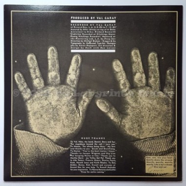 Kim Carnes - Voyeur • 12" Vinyl LP • EX - Labyrinth Music