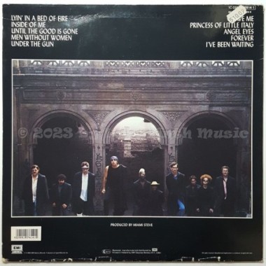 Little Steven And The Disciples Of Soul - Men Without Women • 12" Vinyl LP - Labyrinth Music