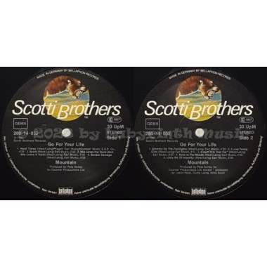 Mountain - Go For Your Life • 12" Vinyl LP • NM - Labyrinth Music