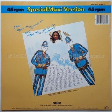 Miquel Brown - So Many Men - So Little Time • 12" Vinyl Maxi • EX - Labyrinth Music