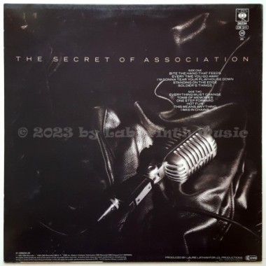 Paul Young - The Secret Of Association • 12" Vinyl LP • NM - Labyrinth Music