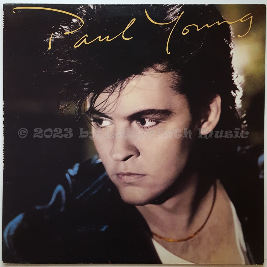 Paul Young - The Secret Of Association • 12" Vinyl LP • EX - Labyrinth Music