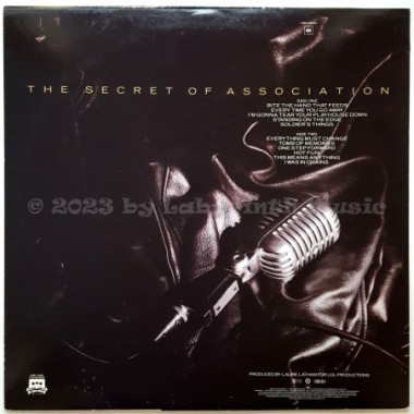 Paul Young - The Secret Of Association • 12" Vinyl LP • EX - Labyrinth Music