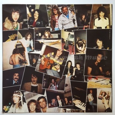 Peter Frampton - I'm In You • 12" Vinyl LP - Labyrinth Music