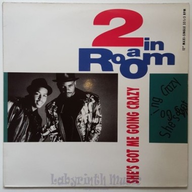 2 In A Room - She's Got Me Going Crazy • 12" Vinyl Maxi - Labyrinth Music