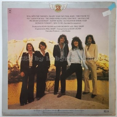 REO Speedwagon - You Can Tune A Piano, But You Can't Tuna Fish • 12" Vinyl LP - Labyrinth Music