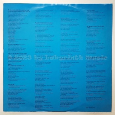 REO Speedwagon - You Can Tune A Piano, But You Can't Tuna Fish • 12" Vinyl LP - Labyrinth Music