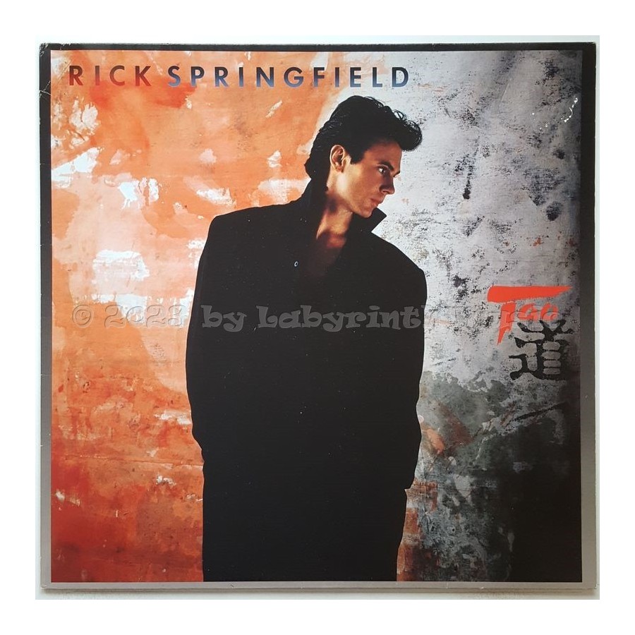Rick Springfield - Tao • 12" Vinyl LP • EX - Labyrinth Music