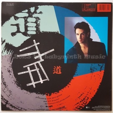 Rick Springfield - Tao • 12" Vinyl LP • EX - Labyrinth Music