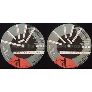 Rick Springfield - Tao • 12" Vinyl LP • EX - Labyrinth Music