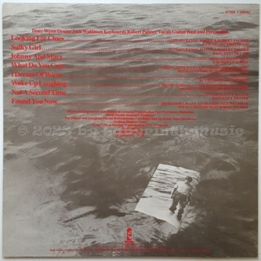 Robert Palmer - Clues • 12" Vinyl LP • NM - Labyrinth Music