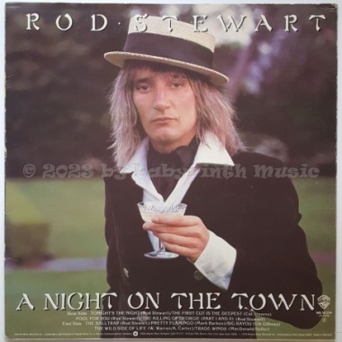 Rod Stewart - A Night On The Town • 12" Vinyl LP • EX - Labyrinth Music