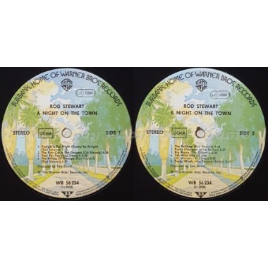 Rod Stewart - A Night On The Town • 12" Vinyl LP • EX - Labyrinth Music