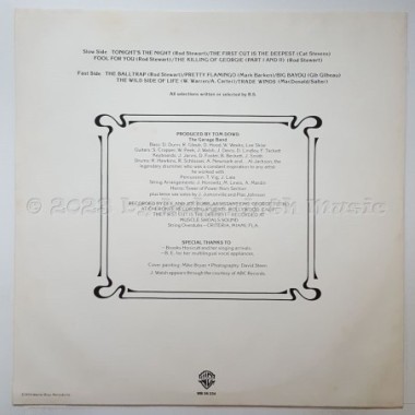 Rod Stewart - A Night On The Town • 12" Vinyl LP • EX - Labyrinth Music