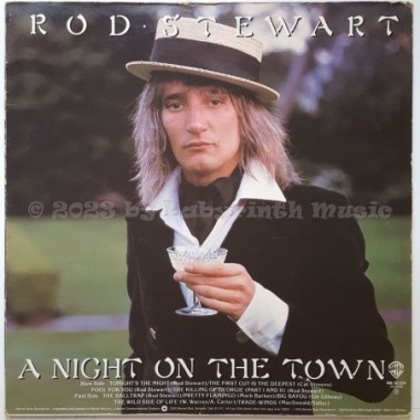 Rod Stewart - A Night On The Town • 12" Vinyl LP - Labyrinth Music