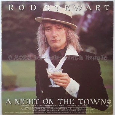 Rod Stewart - A Night On The Town • 12" Vinyl LP • NM - Labyrinth Music