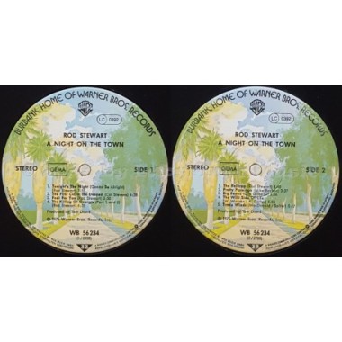 Rod Stewart - A Night On The Town • 12" Vinyl LP • NM - Labyrinth Music