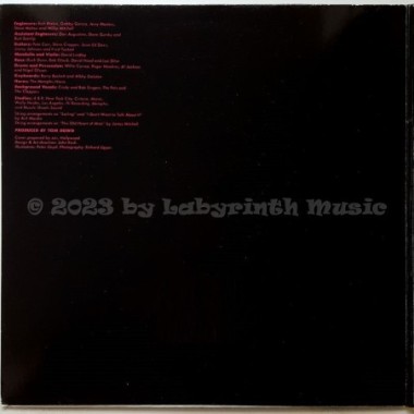 Rod Stewart - Atlantic Crossing • 12" Vinyl LP • EX - Labyrinth Music