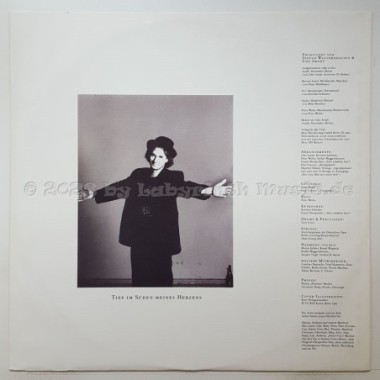 Stefan Waggershausen - Tief Im Süden Meines Herzens • 12" Vinyl LP • EX - Labyrinth Music