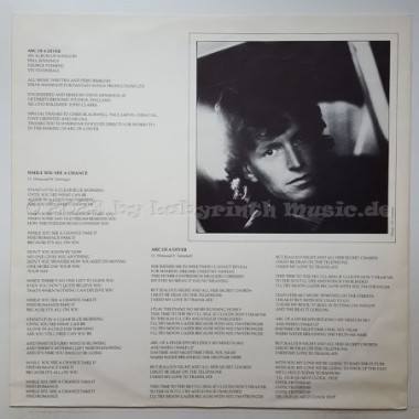 Steve Winwood - Arc Of A Diver • 12" Vinyl LP - Labyrinth Music