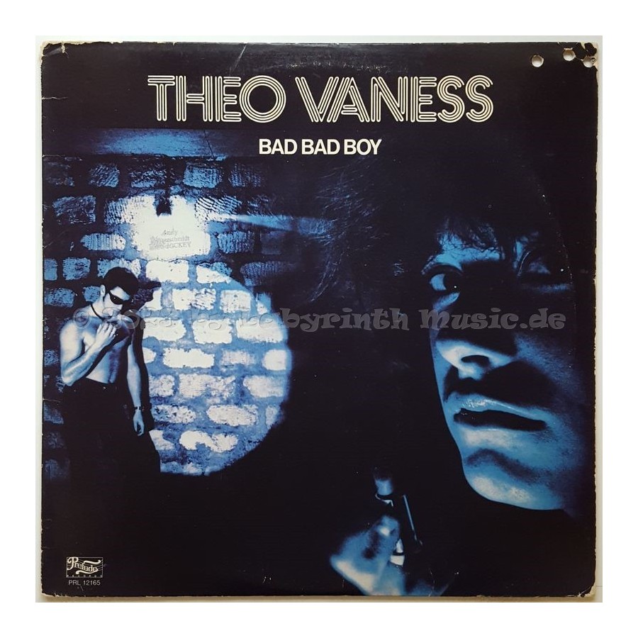 Theo Vaness - Bad Bad Boy • 12" Vinyl LP - Labyrinth Music