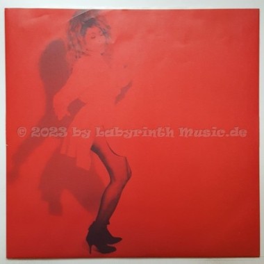 Tina Turner - Break Every Rule • 12" Vinyl LP • NM - Labyrinth Music