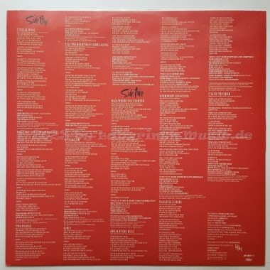 Tina Turner - Break Every Rule • 12" Vinyl LP • NM - Labyrinth Music