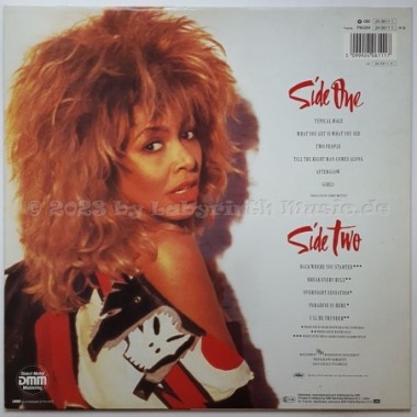 Tina Turner - Break Every Rule • 12" Vinyl LP - Labyrinth Music