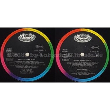 Tina Turner - Break Every Rule • 12" Vinyl LP - Labyrinth Music