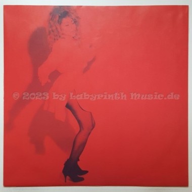 Tina Turner - Break Every Rule • 12" Vinyl LP - Labyrinth Music