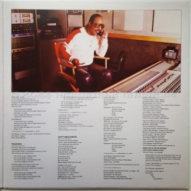 Stevie Wonder - The Woman In Red • Original Motion Picture Soundtrack • 12" Vinyl LP • EX - Labyrinth Music