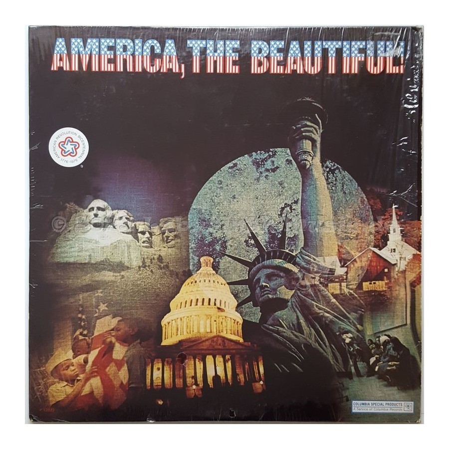 Various - America The Beautiful • 12" Vinyl LP • EX - Labyrinth Music