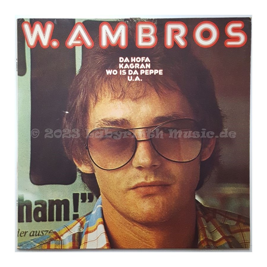 Wolfgang Ambros - W. Ambros • 12" Vinyl LP • EX - Labyrinth Music