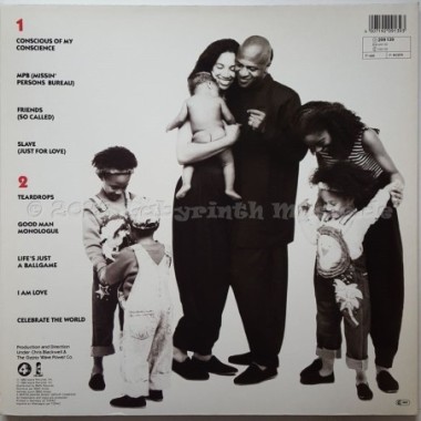 Womack & Womack - Conscience • 12" Vinyl LP • MINT - Labyrinth Music