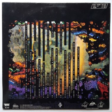 C.C.C.P. - Don't Kill The Rain Forest • 12" Vinyl Maxi • EX - Labyrinth Music