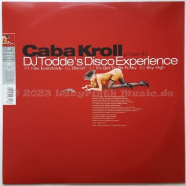 Caba Kroll Presents Dj Todde - Disco Experience • 12" Vinyl Maxi • NM - Labyrinth Music