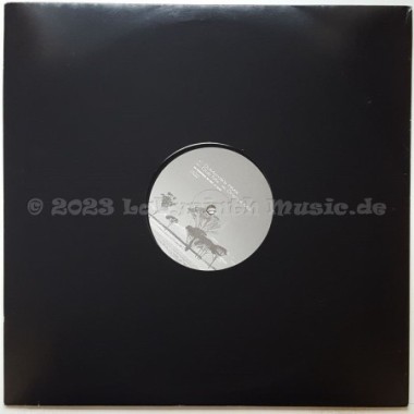 Chelsee - Sweet Destiny • 12" Vinyl Maxi • MINT - Labyrinth Music