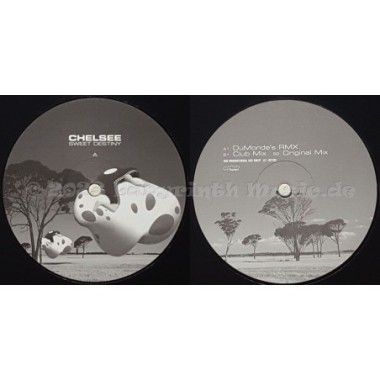 Chelsee - Sweet Destiny • 12" Vinyl Maxi • MINT - Labyrinth Music