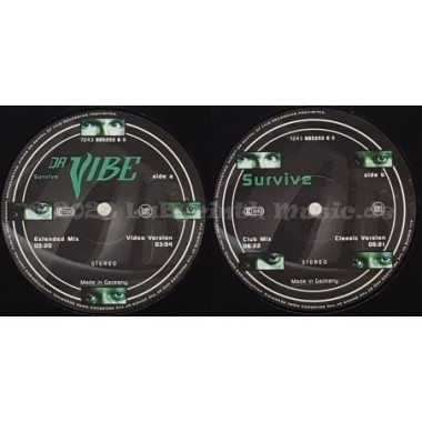 Da Vibe - Survive • 12" Vinyl Maxi • MINT - Labyrinth Music