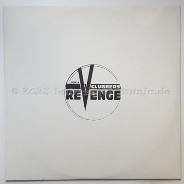 Daman Van Thorn - Lose My Mind • 12" Vinyl Maxi • MINT - Labyrinth Music