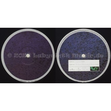 2 Men Ahead - Blue Moon • 12" Vinyl Maxi • MINT - Labyrinth Music